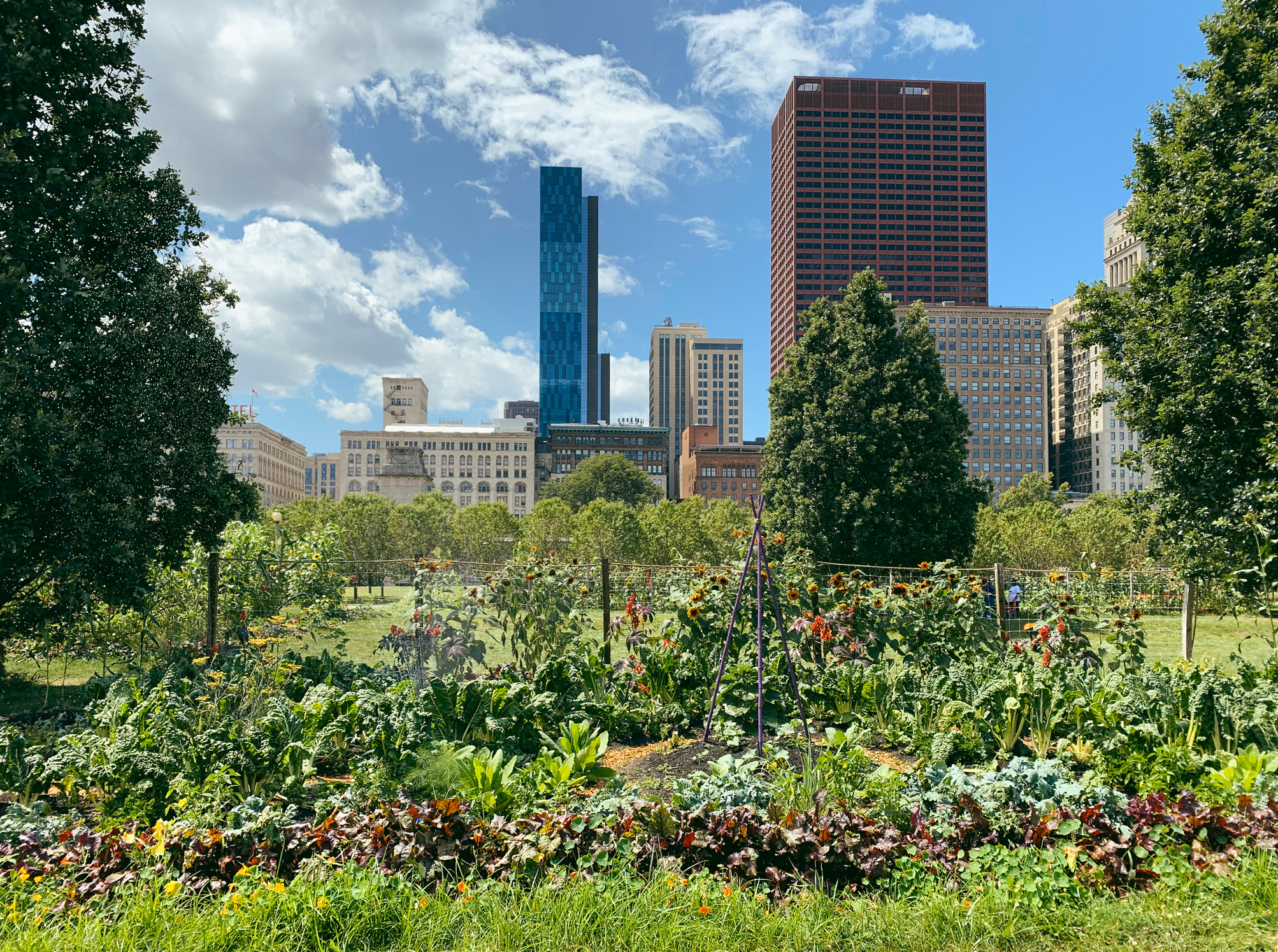 Urban garden