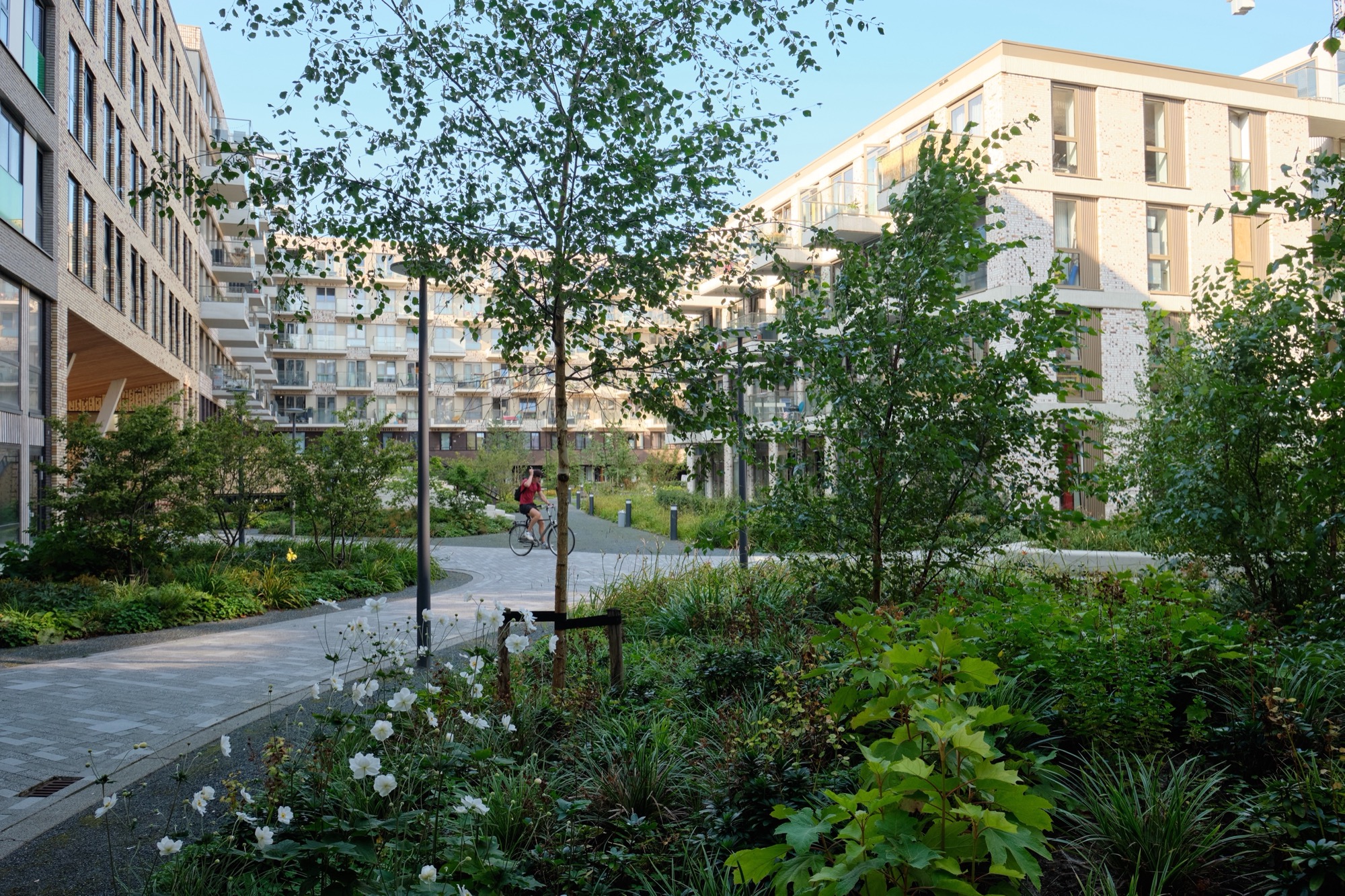 Lieven Neighborhood Campus in Amsterdam. Designed by Bureau B+B urbanism and landscape architecture.