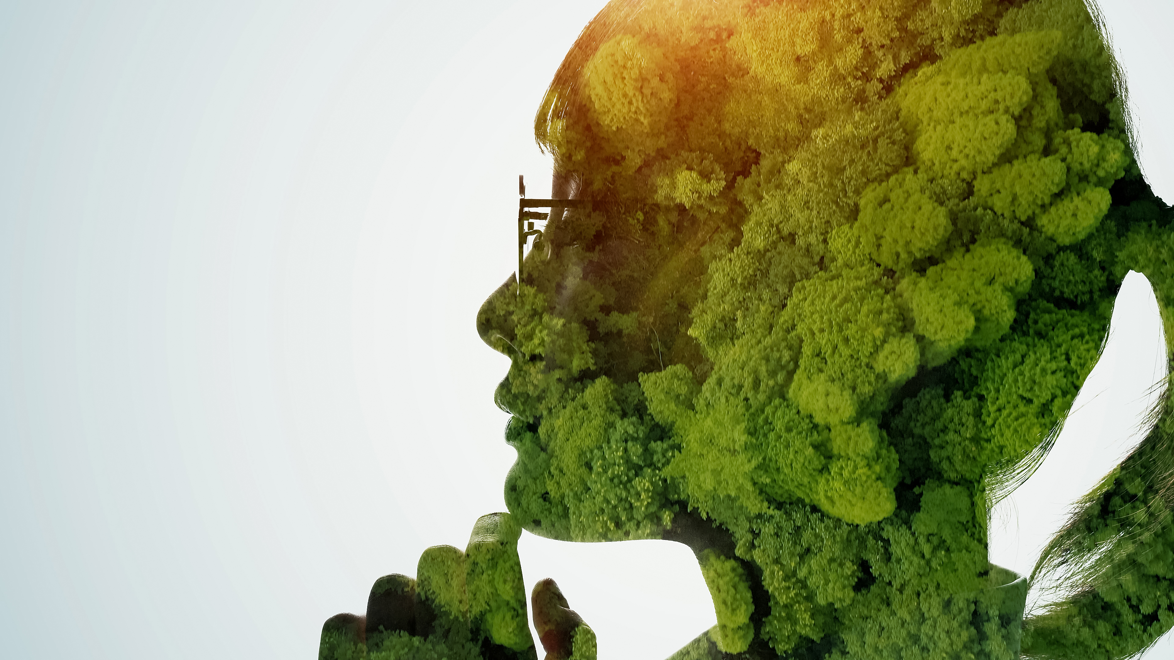 Greening Cities Partnership Survey
