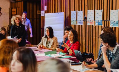 synergy working groups