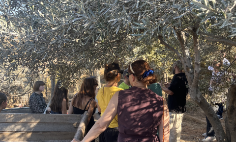 people in a farm