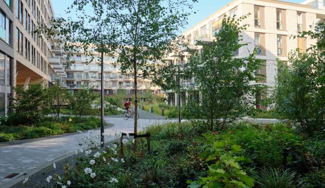 Lieven Neighborhood Campus in Amsterdam. Designed by Bureau B+B urbanism and landscape architecture.